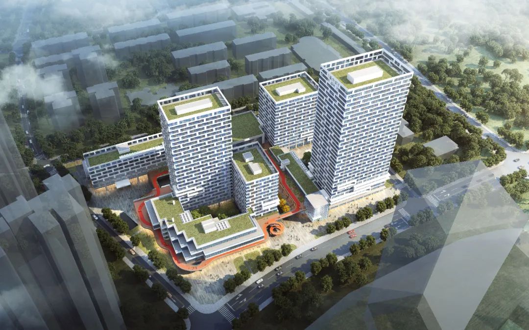 游艇会·yth206(中国)最新官方网站